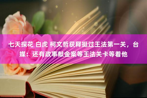 七天探花 白虎 柯文哲获释挺过王法第一关，台媒：还有政事献金案等王法关卡等着他