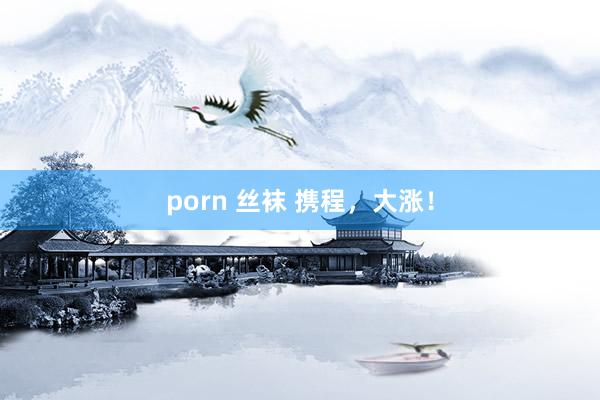 porn 丝袜 携程，大涨！