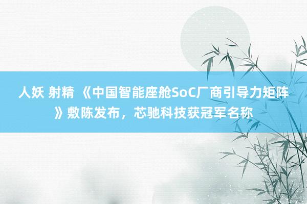 人妖 射精 《中国智能座舱SoC厂商引导力矩阵》敷陈发布，芯驰科技获冠军名称