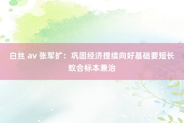 白丝 av 张军扩：巩固经济捏续向好基础要短长蚁合标本兼治