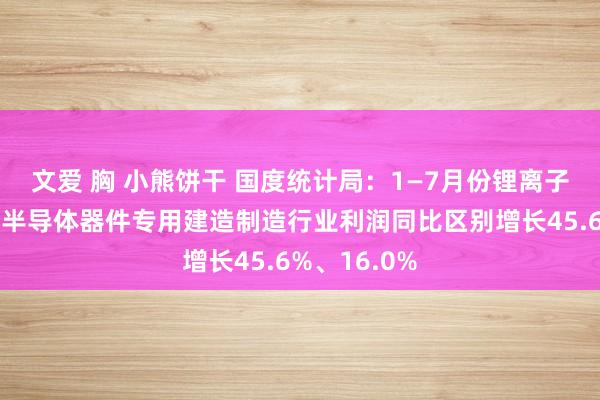 文爱 胸 小熊饼干 国度统计局：1—7月份锂离子电板制造、半导体器件专用建造制造行业利润同比区别增长45.6%、16.0%