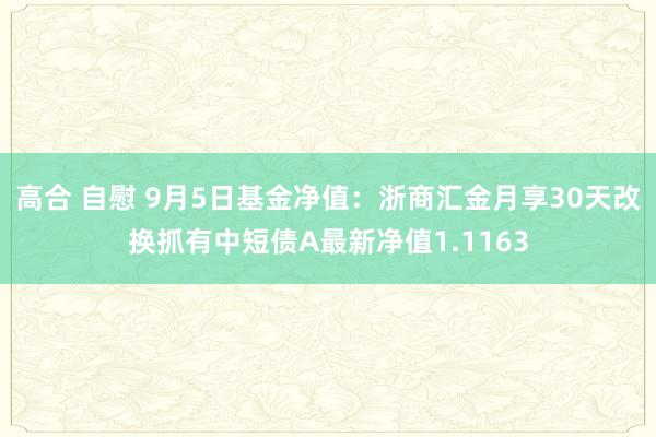 高合 自慰 9月5日基金净值：浙商汇金月享30天改换抓有中短债A最新净值1.1163