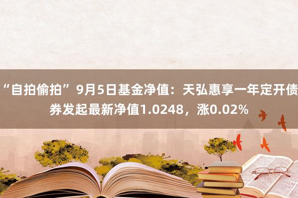 “自拍偷拍” 9月5日基金净值：天弘惠享一年定开债券发起最新净值1.0248，涨0.02%