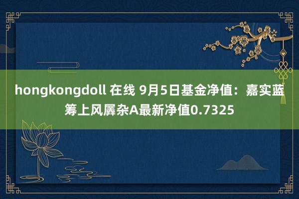 hongkongdoll 在线 9月5日基金净值：嘉实蓝筹上风羼杂A最新净值0.7325