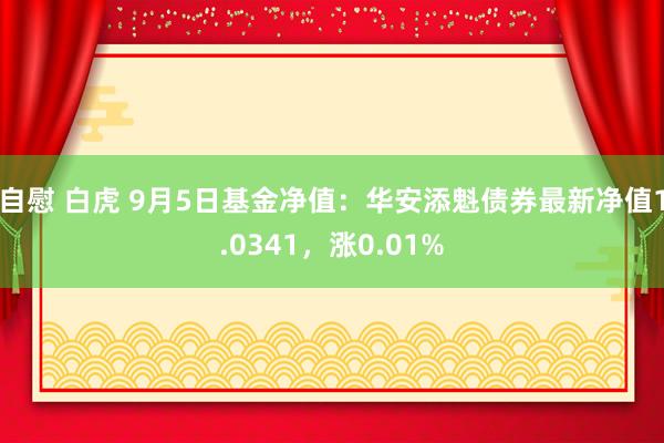 自慰 白虎 9月5日基金净值：华安添魁债券最新净值1.0341，涨0.01%