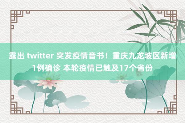 露出 twitter 突发疫情音书！重庆九龙坡区新增1例确诊 本轮疫情已触及17个省份