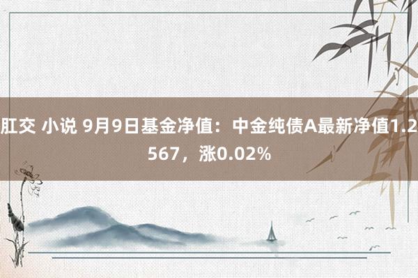 肛交 小说 9月9日基金净值：中金纯债A最新净值1.2567，涨0.02%