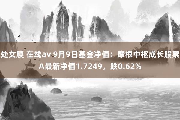 处女膜 在线av 9月9日基金净值：摩根中枢成长股票A最新净值1.7249，跌0.62%