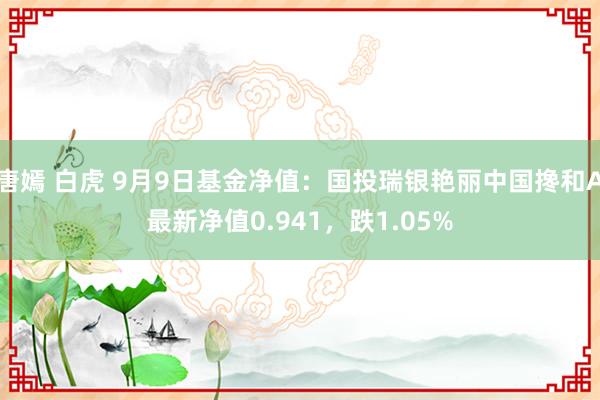 唐嫣 白虎 9月9日基金净值：国投瑞银艳丽中国搀和A最新净值0.941，跌1.05%