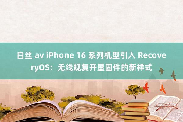 白丝 av iPhone 16 系列机型引入 RecoveryOS：无线规复开垦固件的新样式