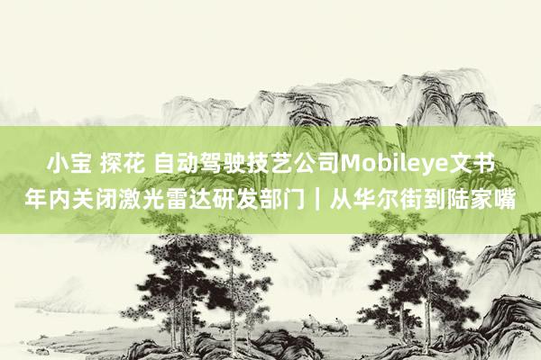 小宝 探花 自动驾驶技艺公司Mobileye文书年内关闭激光雷达研发部门｜从华尔街到陆家嘴