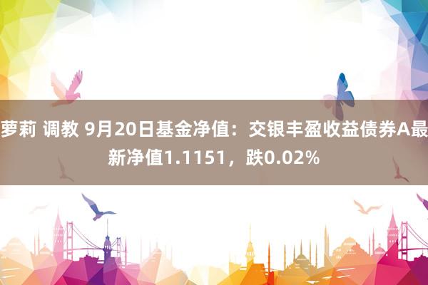 萝莉 调教 9月20日基金净值：交银丰盈收益债券A最新净值1.1151，跌0.02%