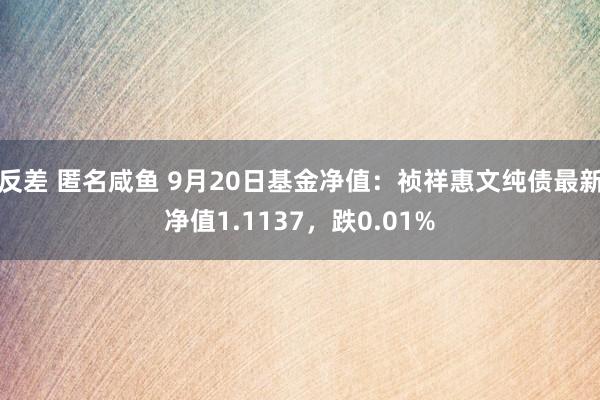 反差 匿名咸鱼 9月20日基金净值：祯祥惠文纯债最新净值1.1137，跌0.01%