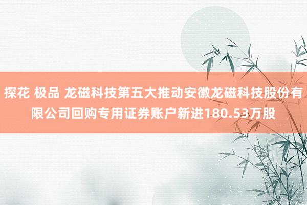 探花 极品 龙磁科技第五大推动安徽龙磁科技股份有限公司回购专用证券账户新进180.53万股