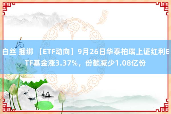 白丝 捆绑 【ETF动向】9月26日华泰柏瑞上证红利ETF基金涨3.37%，份额减少1.08亿份