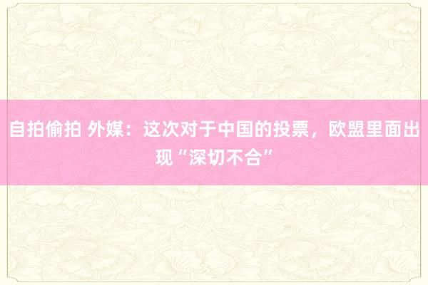 自拍偷拍 外媒：这次对于中国的投票，欧盟里面出现“深切不合”