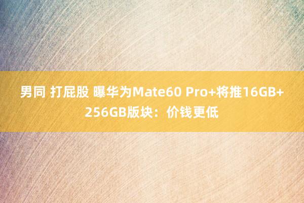 男同 打屁股 曝华为Mate60 Pro+将推16GB+256GB版块：价钱更低