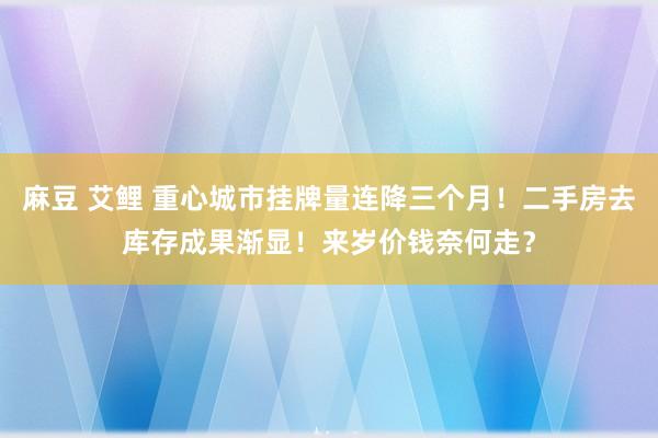 麻豆 艾鲤 重心城市挂牌量连降三个月！二手房去库存成果渐显！来岁价钱奈何走？