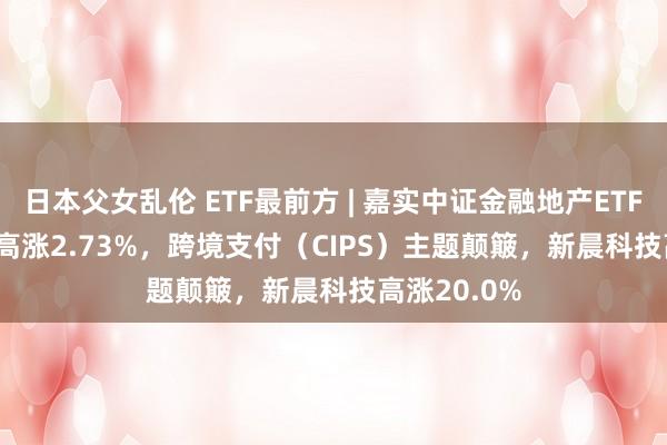 日本父女乱伦 ETF最前方 | 嘉实中证金融地产ETF(512640)高涨2.73%，跨境支付（CIPS）主题颠簸，新晨科技高涨20.0%