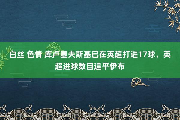 白丝 色情 库卢塞夫斯基已在英超打进17球，英超进球数目追平伊布