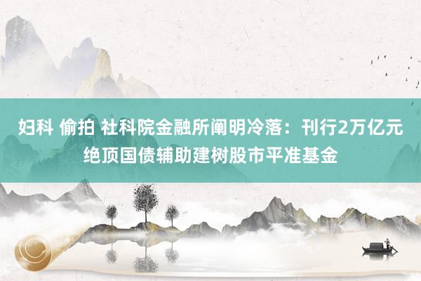 妇科 偷拍 社科院金融所阐明冷落：刊行2万亿元绝顶国债辅助建树股市平准基金