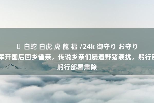 ✨白蛇 白虎 虎 龍 福 /24k 御守り お守り 黄镇将军开国后回乡省亲，传说乡亲们屡遭野猪袭扰，躬行部署肃除