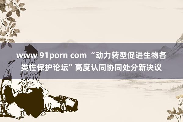 www 91porn com “动力转型促进生物各类性保护论坛”高度认同协同处分新决议