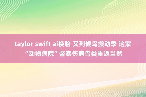 taylor swift ai换脸 又到候鸟搬动季 这家“动物病院”督察伤病鸟类重返当然