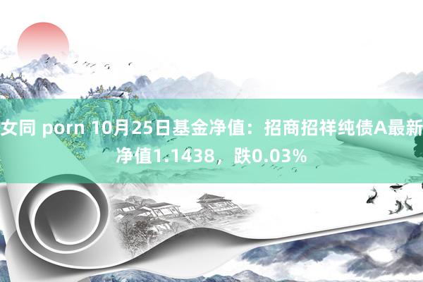 女同 porn 10月25日基金净值：招商招祥纯债A最新净值1.1438，跌0.03%