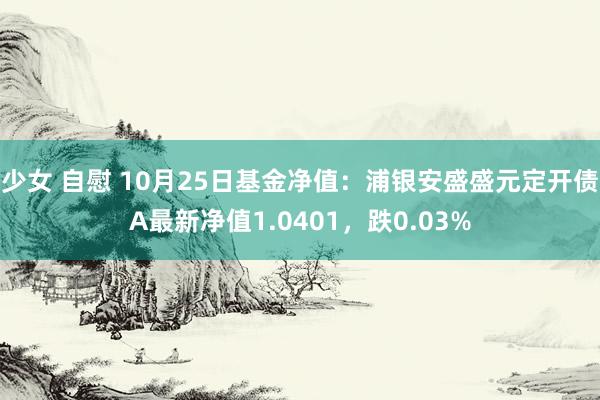 少女 自慰 10月25日基金净值：浦银安盛盛元定开债A最新净值1.0401，跌0.03%