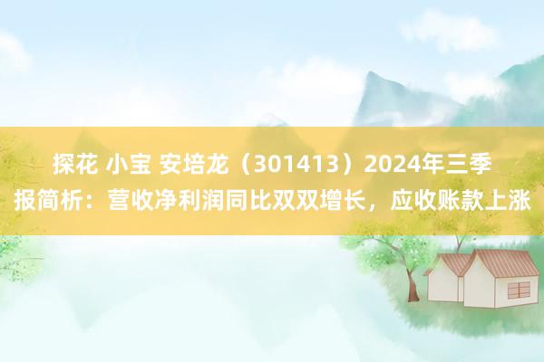 探花 小宝 安培龙（301413）2024年三季报简析：营收净利润同比双双增长，应收账款上涨