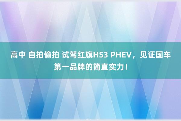 高中 自拍偷拍 试驾红旗HS3 PHEV，见证国车第一品牌的简直实力！