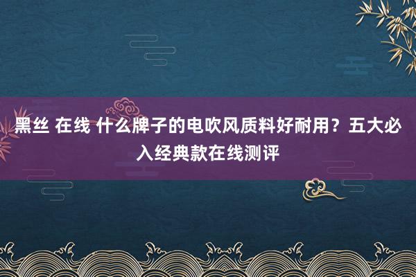 黑丝 在线 什么牌子的电吹风质料好耐用？五大必入经典款在线测评