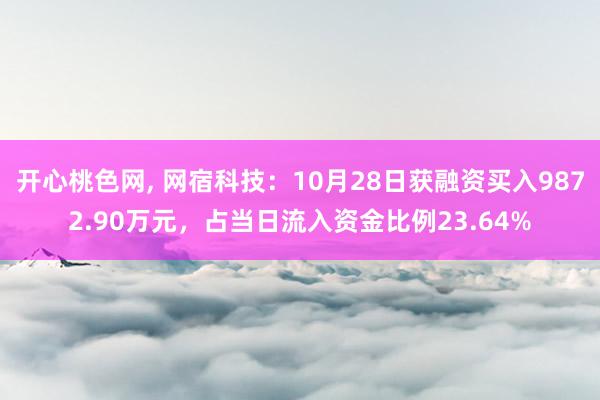 开心桃色网， 网宿科技：10月28日获融资买入9872.90万元，占当日流入资金比例23.64%