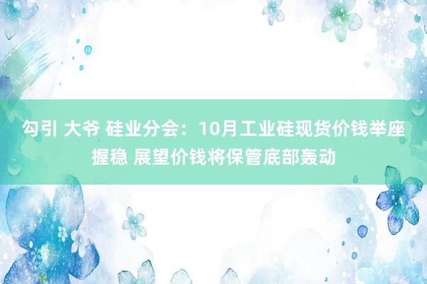 勾引 大爷 硅业分会：10月工业硅现货价钱举座握稳 展望价钱将保管底部轰动