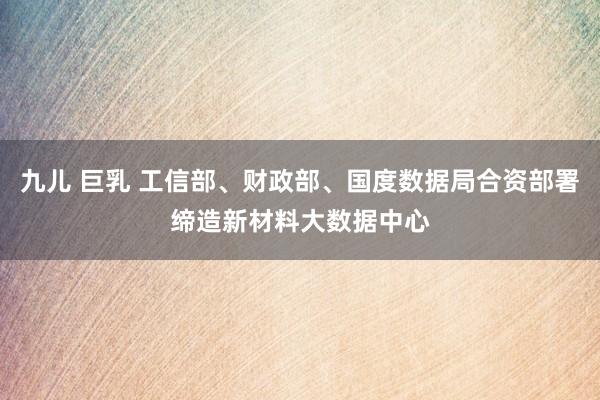 九儿 巨乳 工信部、财政部、国度数据局合资部署缔造新材料大数据中心