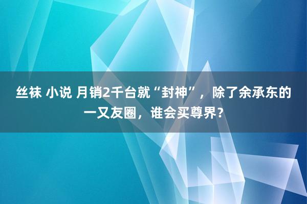 丝袜 小说 月销2千台就“封神”，除了余承东的一又友圈，谁会买尊界？