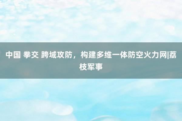 中国 拳交 跨域攻防，构建多维一体防空火力网|荔枝军事