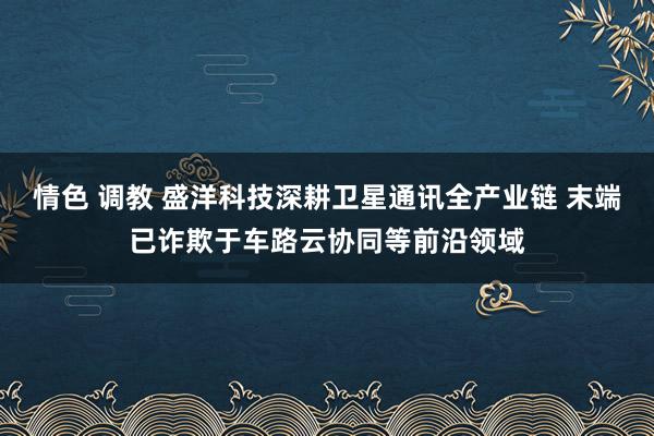 情色 调教 盛洋科技深耕卫星通讯全产业链 末端已诈欺于车路云协同等前沿领域