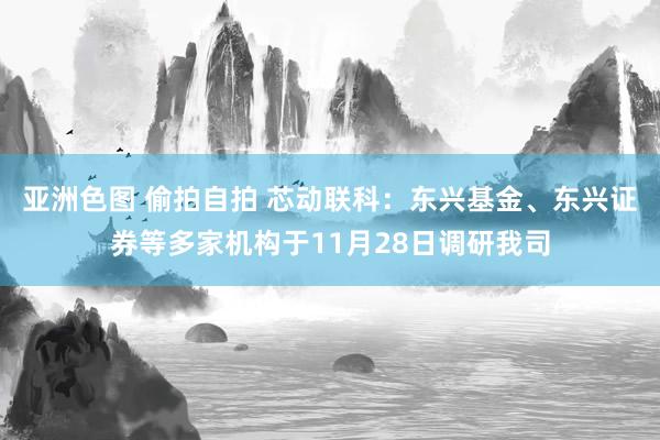 亚洲色图 偷拍自拍 芯动联科：东兴基金、东兴证券等多家机构于11月28日调研我司