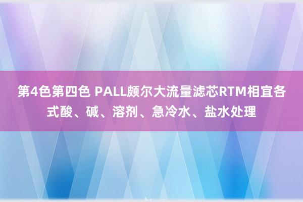 第4色第四色 PALL颇尔大流量滤芯RTM相宜各式酸、碱、溶剂、急冷水、盐水处理