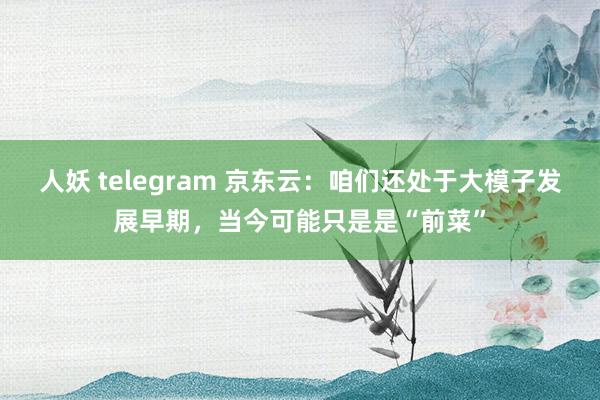 人妖 telegram 京东云：咱们还处于大模子发展早期，当今可能只是是“前菜”