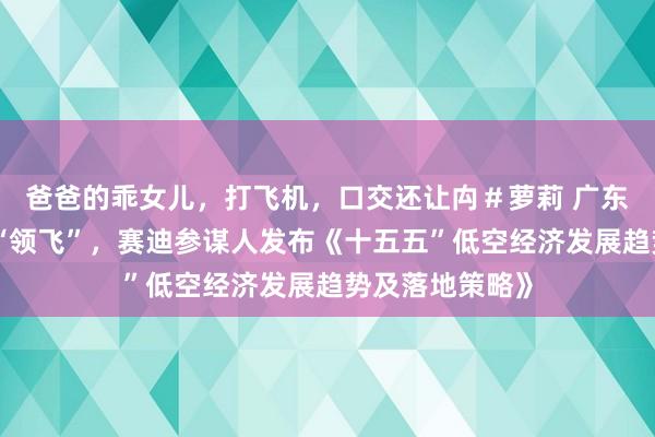 爸爸的乖女儿，打飞机，口交还让禸＃萝莉 广东、江苏、四川“领飞”，赛迪参谋人发布《十五五”低空经济发展趋势及落地策略》