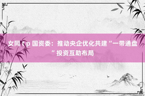 女同 t p 国资委：推动央企优化共建“一带通盘”投资互助布局