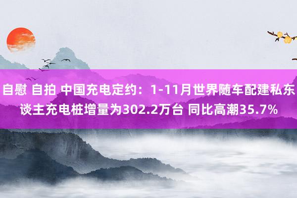 自慰 自拍 中国充电定约：1-11月世界随车配建私东谈主充电桩增量为302.2万台 同比高潮35.7%