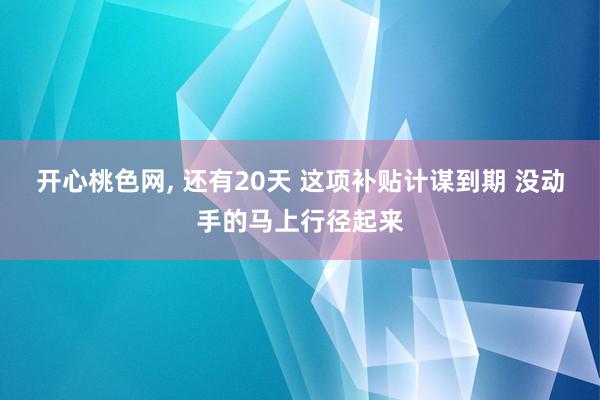 开心桃色网， 还有20天 这项补贴计谋到期 没动手的马上行径起来