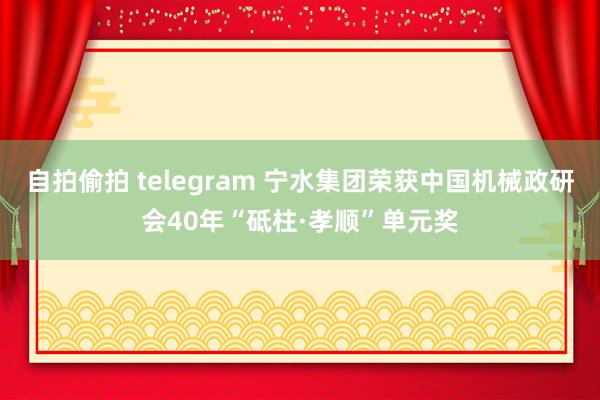 自拍偷拍 telegram 宁水集团荣获中国机械政研会40年“砥柱·孝顺”单元奖