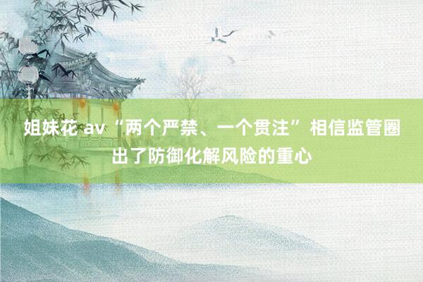 姐妹花 av “两个严禁、一个贯注” 相信监管圈出了防御化解风险的重心