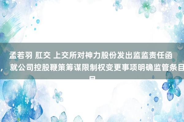 孟若羽 肛交 上交所对神力股份发出监监责任函 ， 就公司控股鞭策筹谋限制权变更事项明确监管条目