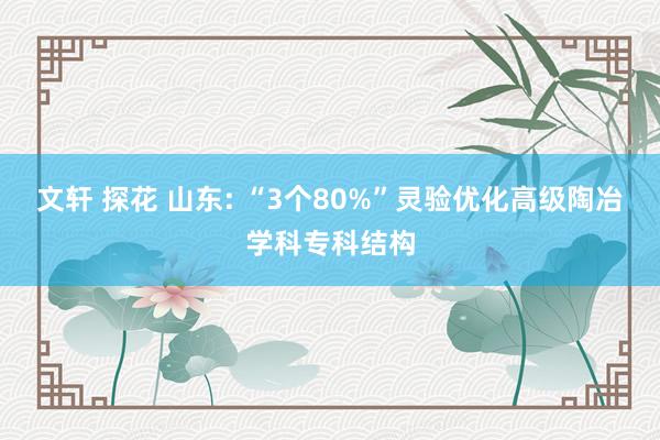 文轩 探花 山东: “3个80%”灵验优化高级陶冶学科专科结构